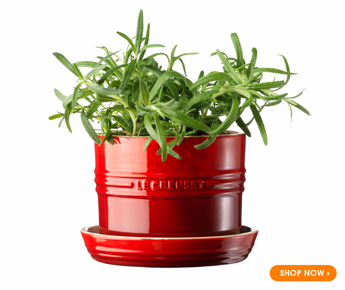 Le Creuset Herb Planter in Cherry