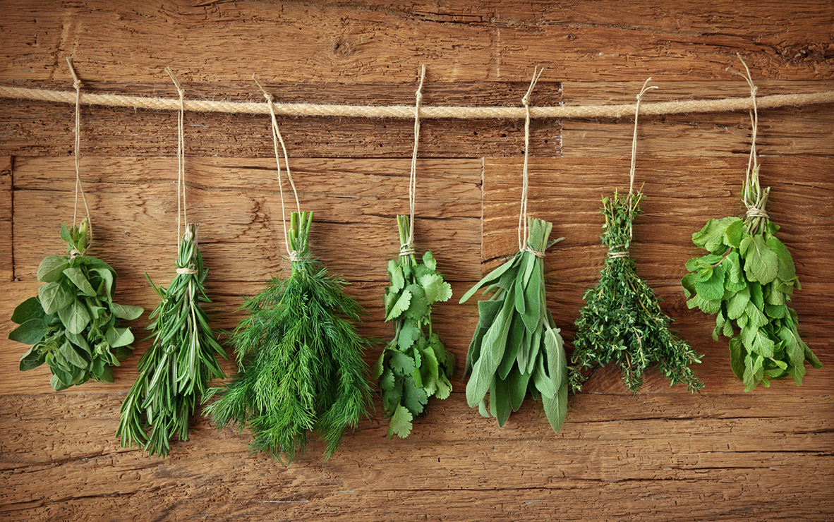 Herbs-Lifestyle