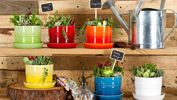 Le Creuset | DIY with Le Creuset: Make Your Own Succulent Hot Pot!