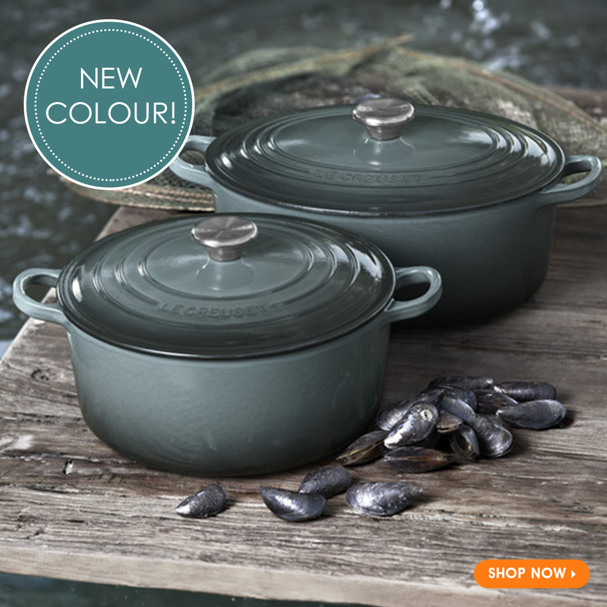 Le Creuset From Ocean to Table Delicious Fish Dishes
