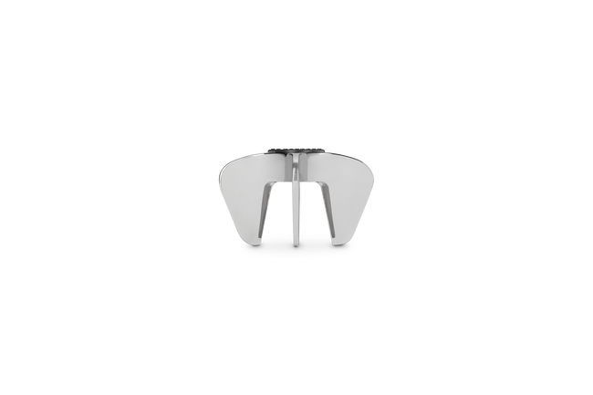 Sw100 Champagne Star SatinSatin Chrome image number 1