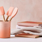 Craft 5-piece Utensil SetPêche image number 4