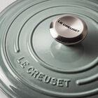 Signature Stainless Steel Knob image number 1