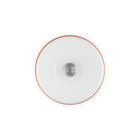 4L Pet Treat Jar OrangeOrange image number 4