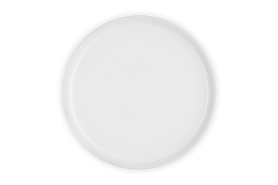 Stoneware Coupe Dinner Plate