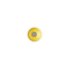 Salt MillNectar image number 4