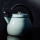 Cloche Kettle with Stainless Steel Knob image number 1