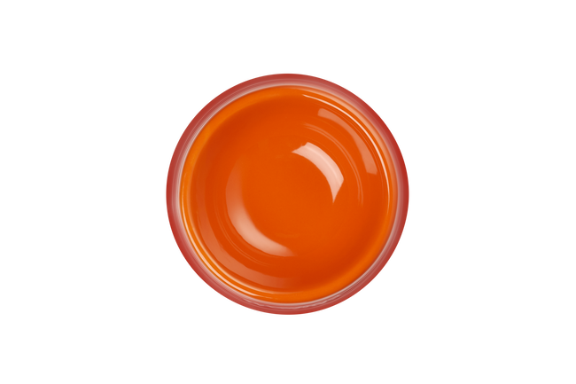 Le Creuset Stoneware Large Dog Bowl 800ml FlameFlame image number 8