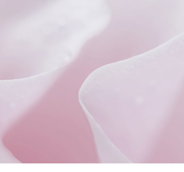 pink flower petals