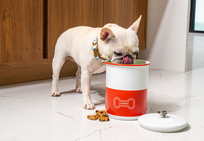 small dog eating from a canister printed with a bone illustration and the le creuset logo