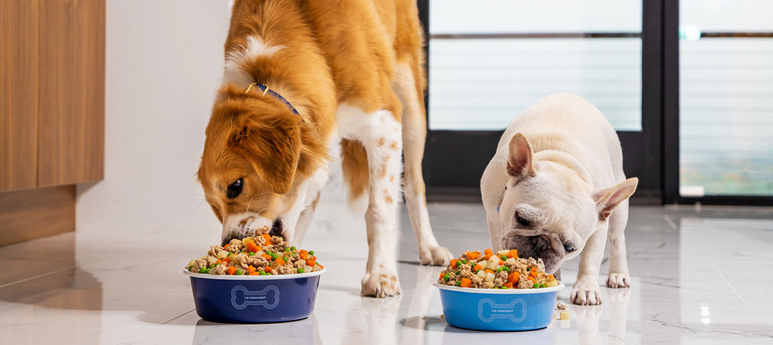 dogs eating pet food from bowls with an illustration of a bone and the Le Creuset logo