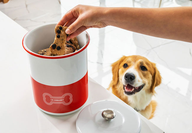 large dog waiting for a treat from a canister printed with a bone illustration and the le creuset logo