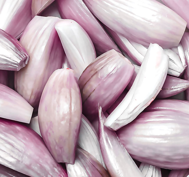 shallot cut into wedges
