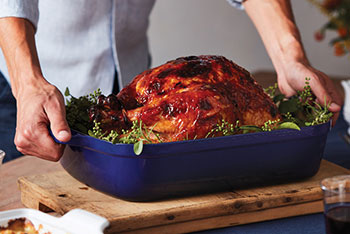 thanksgiving turkey
